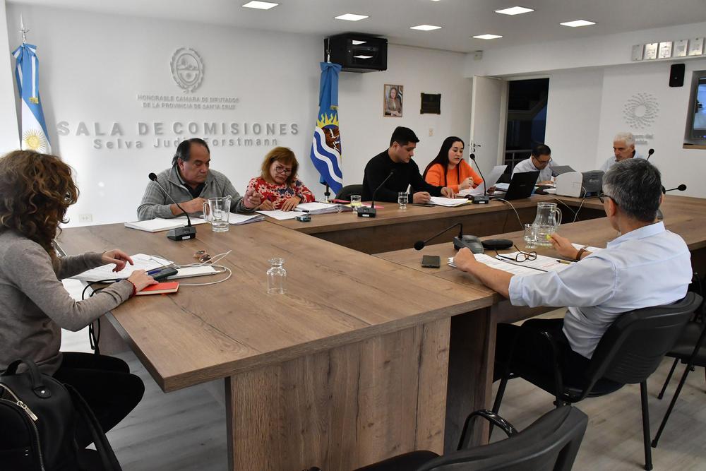 asuntos constitucionales