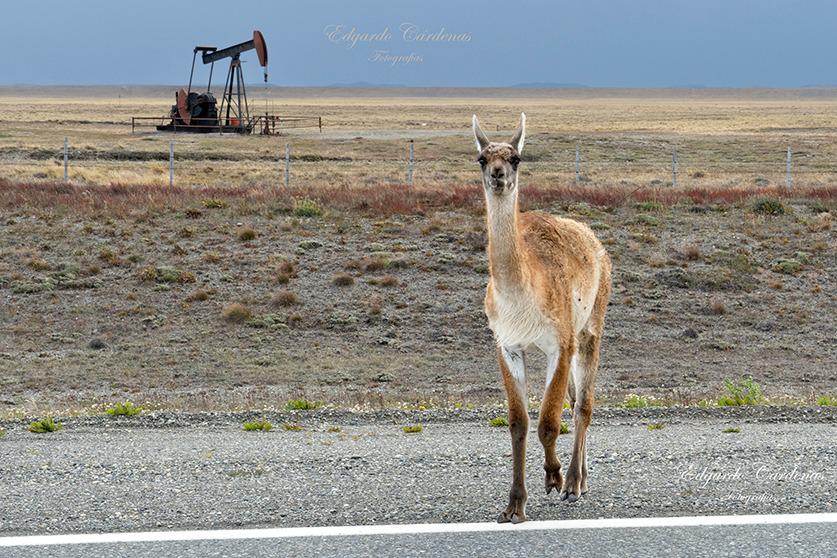 324183445_853628739303992_2775040628529625057_n