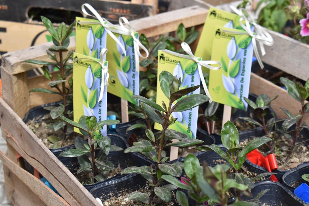 312731758_493022876190657_7718974862459099416_n