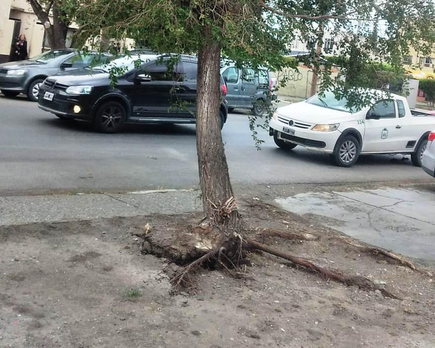 334104193_717113926752309_6527138673748902085_n