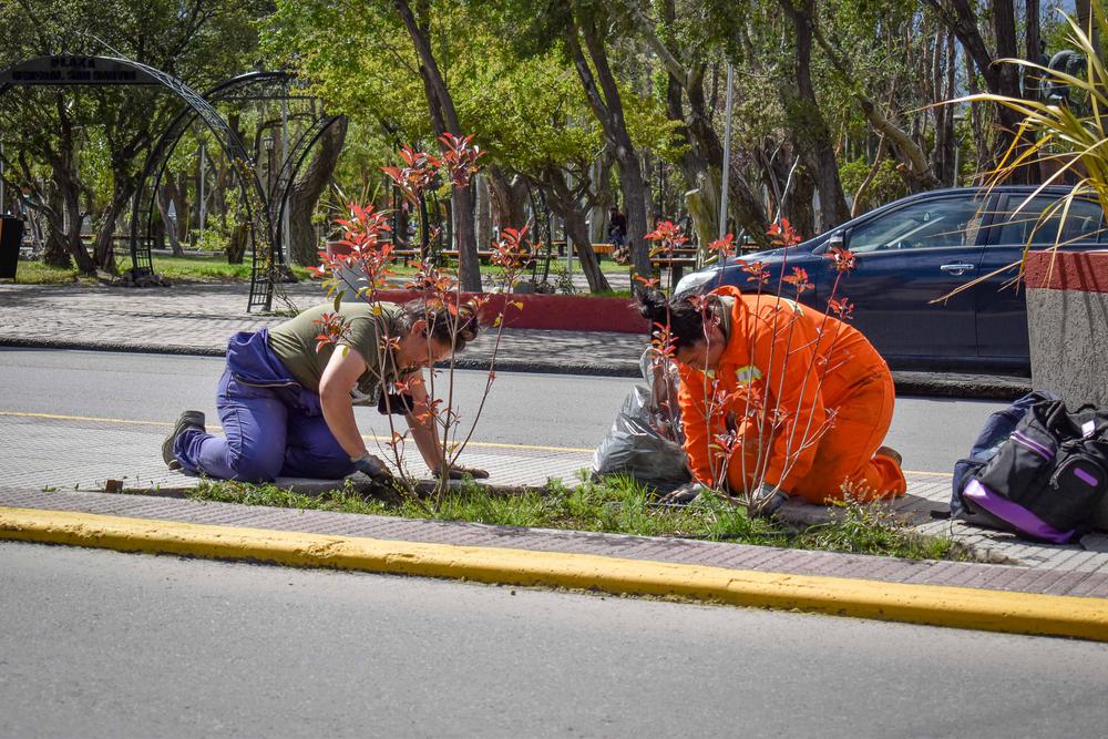 SOPU_ESPACIOS VERDES-PLANTINES SAN MARTIN_06-01-21_