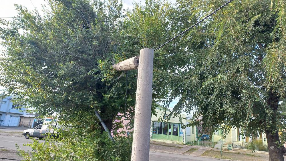 WhatsApp Image 2022-04-18 at 11.52.20 AM