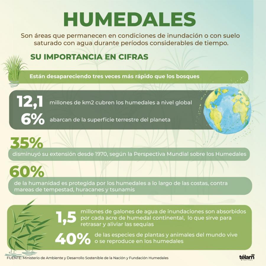 humedales humedales