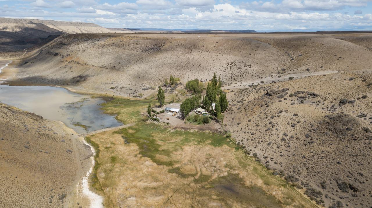 Conservar los juncales, esos humedales donde la vida se multiplica 03