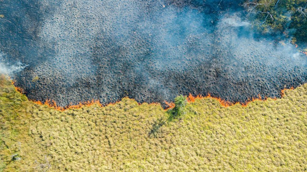 Incendios Iberá (Yerbalito) - Matias Rebak - Fundacion Rewilding Argentina-67