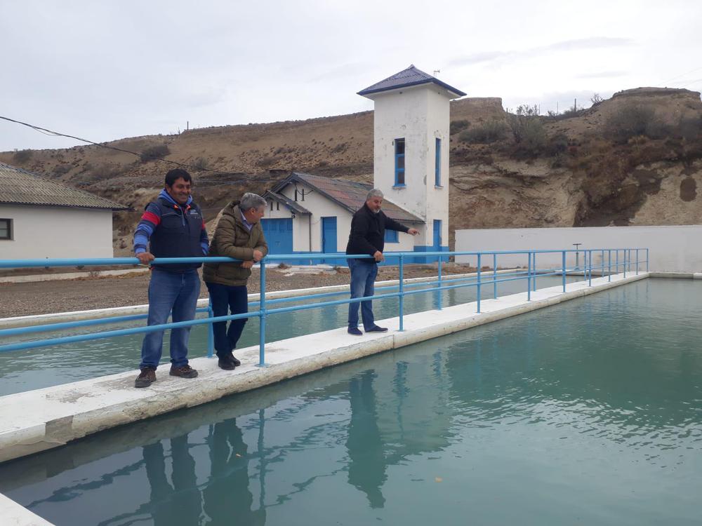 344259538_239799402056462_6085629191445901971_n