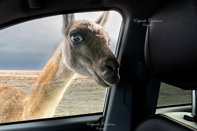 321655513_844807220264267_2940847454593951403_n