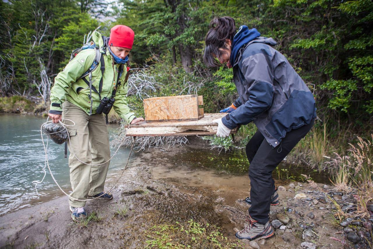 Foto de Gonzalo Pardo (2)