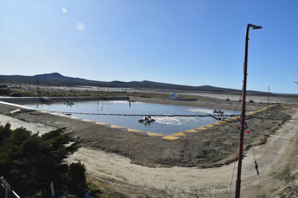 WhatsApp_Image_2022-10-05_at_4.22.31_PM_1