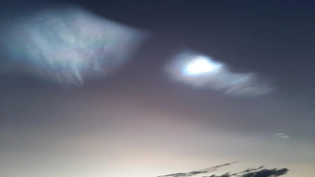 WhatsApp Image 2022-07-30 at 9.08.04 AM