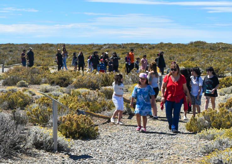 WhatsApp Image 2023-01-19 at 16.58.41 (1)