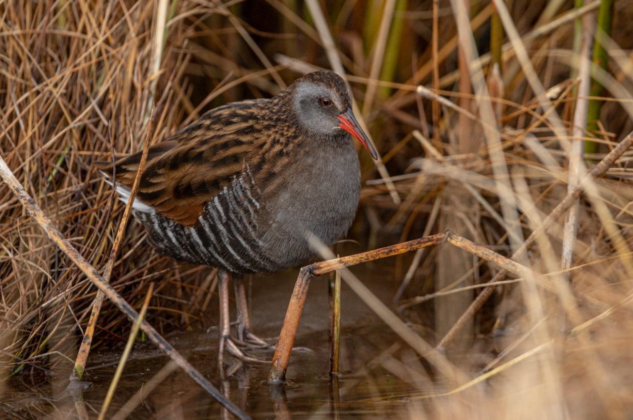 photo_2022-11-10_09-58-51
