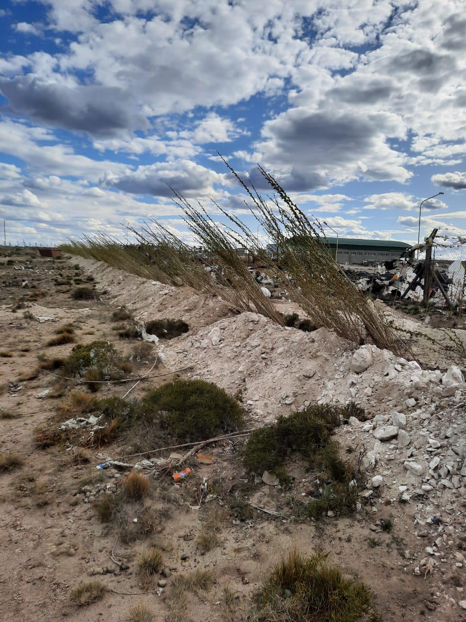 WhatsApp_Image_2022-10-05_at_4.22.30_PM_1