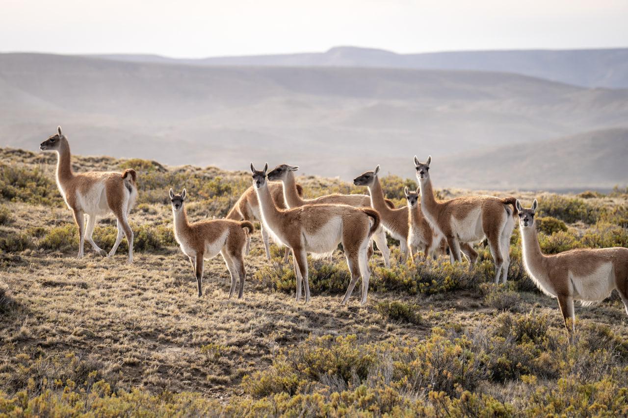 PN MONTE LEON - foto de Joel Reyero 12
