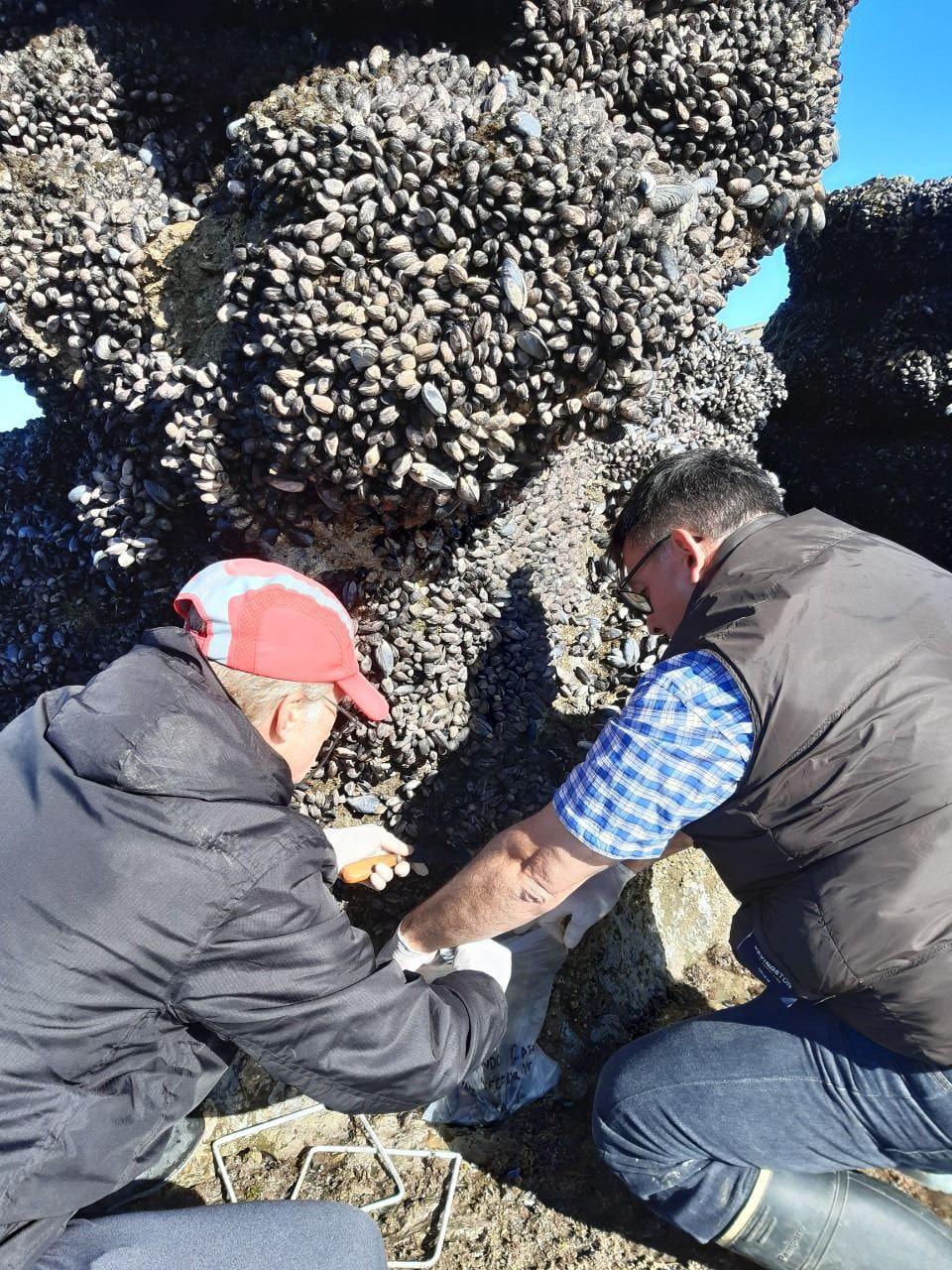 photo_2022-12-28_17-34-43