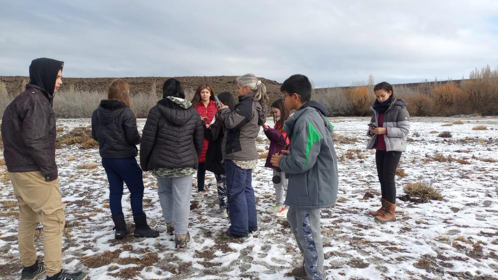 ESTEPA INVERNAL 4 (1)