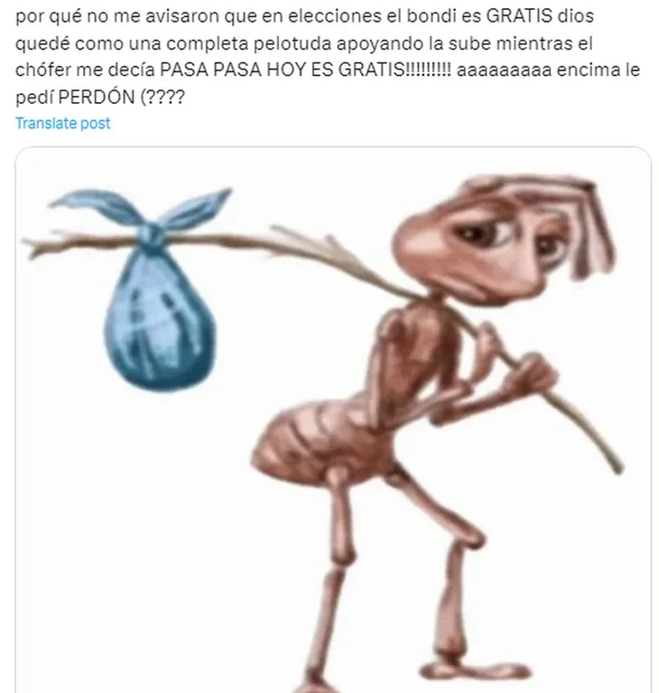 meme-elecciones-5jpg