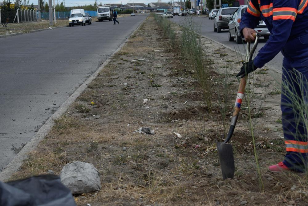 SOP_ESPACIOS VERDES RIQUEZ_02_02 (8)