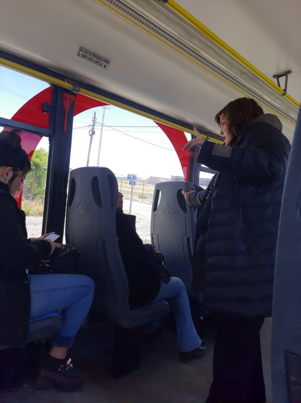 03.01.23. Colectivos - Damico