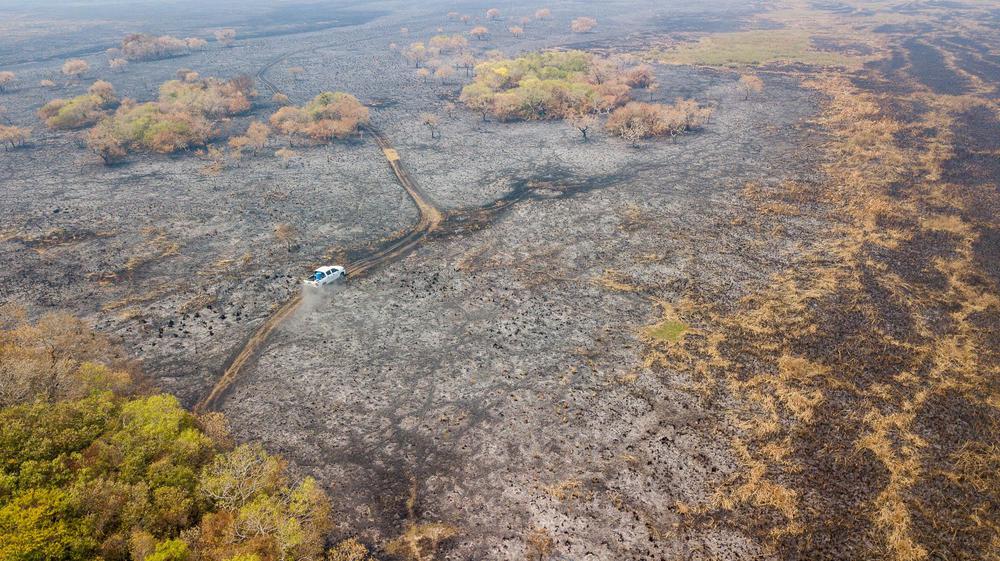 Incendios Iberá - Fundación Rewilding Argentina-08