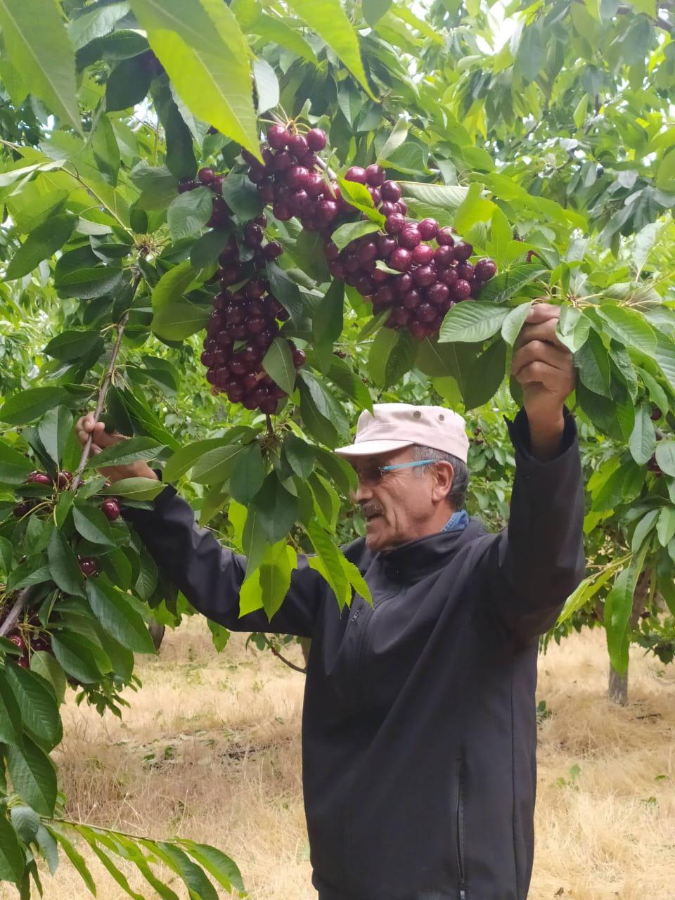 Productores-de-cerezas-de-Los-Antiguos-buscan-preservar-las-fuentes-de-agua-02-1