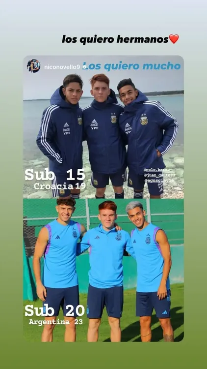 barco-giay-gauto_w862