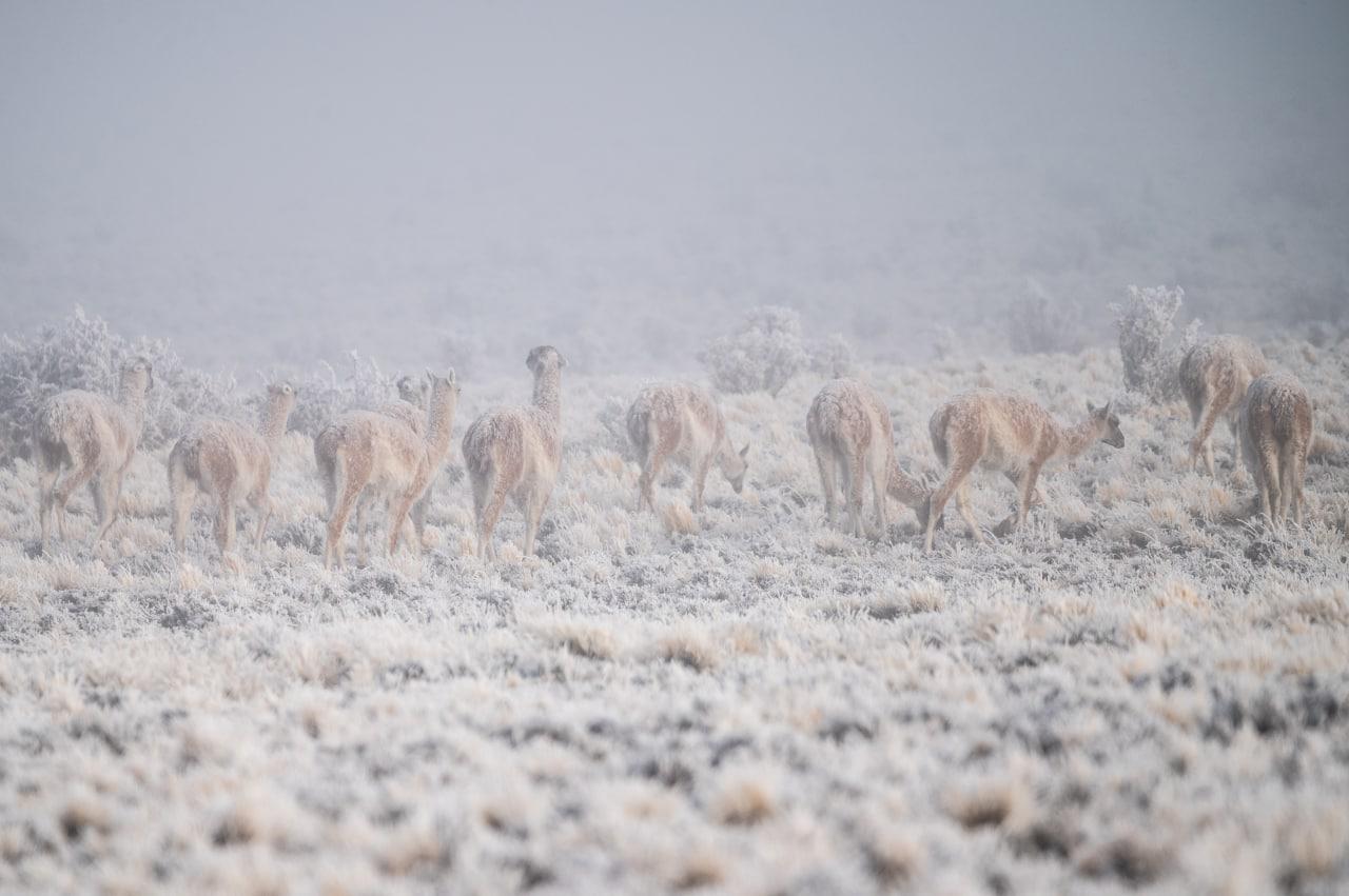 photo_2022-06-09_14-00-20
