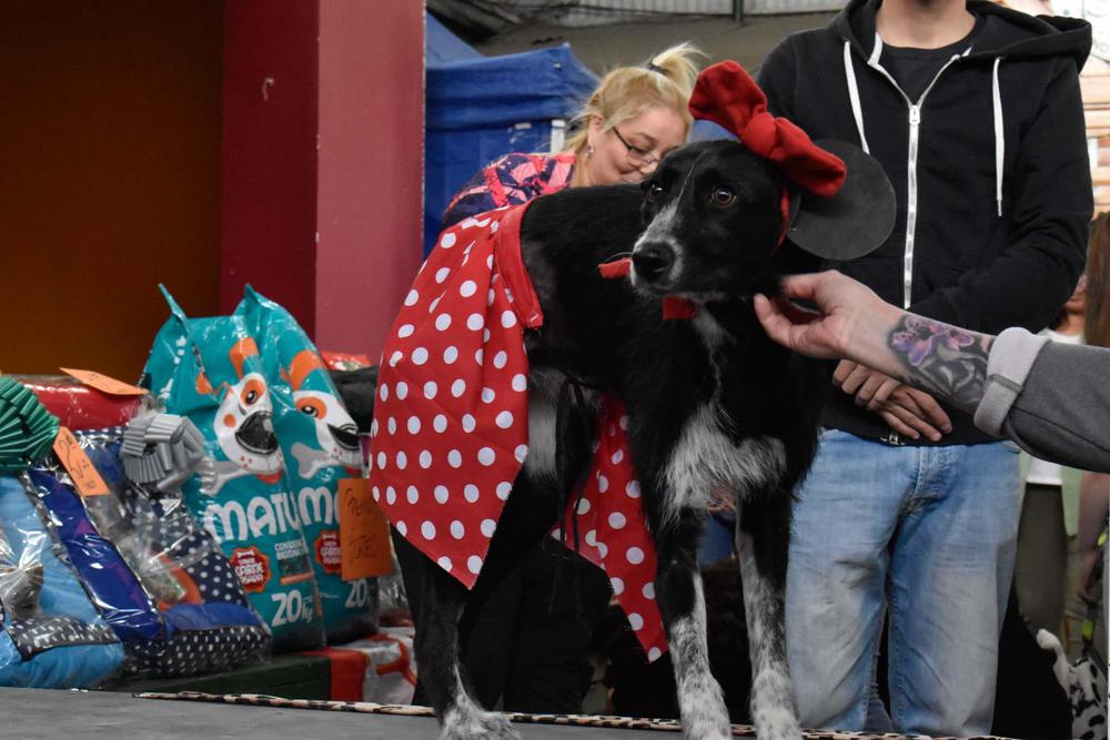 316128346_516334513859493_5883382195753501922_n