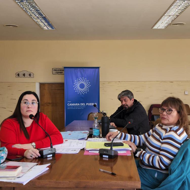 Reuniones de Comisión (3)