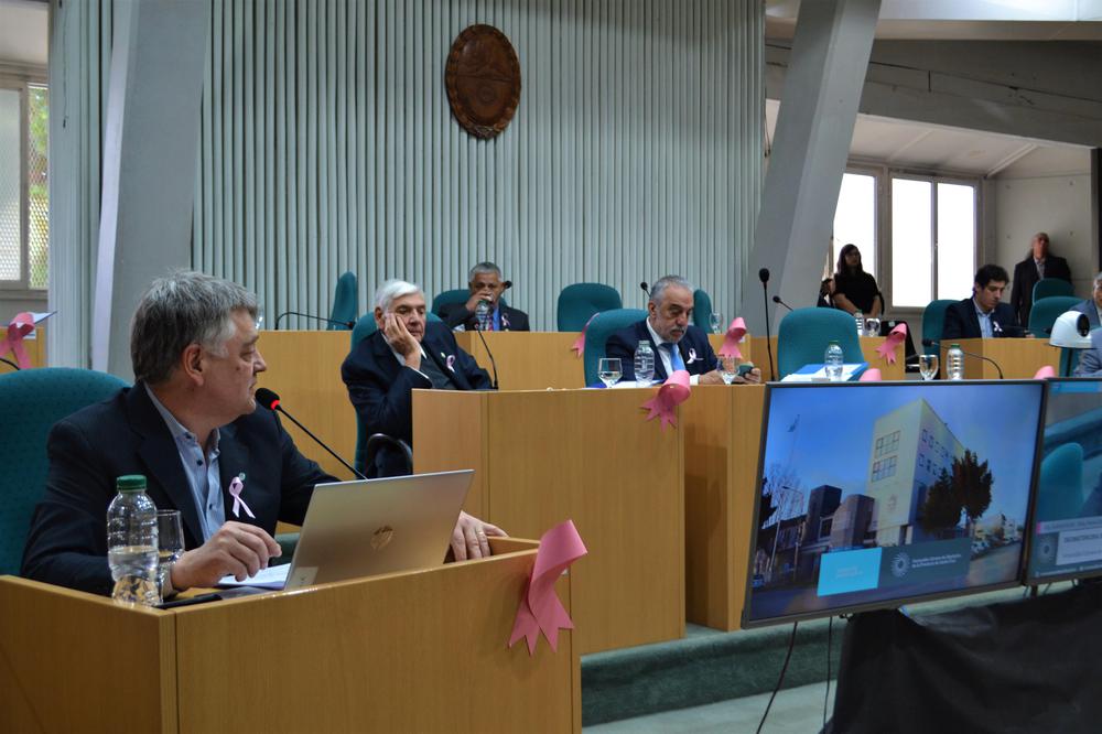 Foto 2 Diputado Oliva en la sesión de ayer