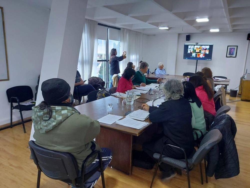 04-04 Reunion Desarrollo Social (4)