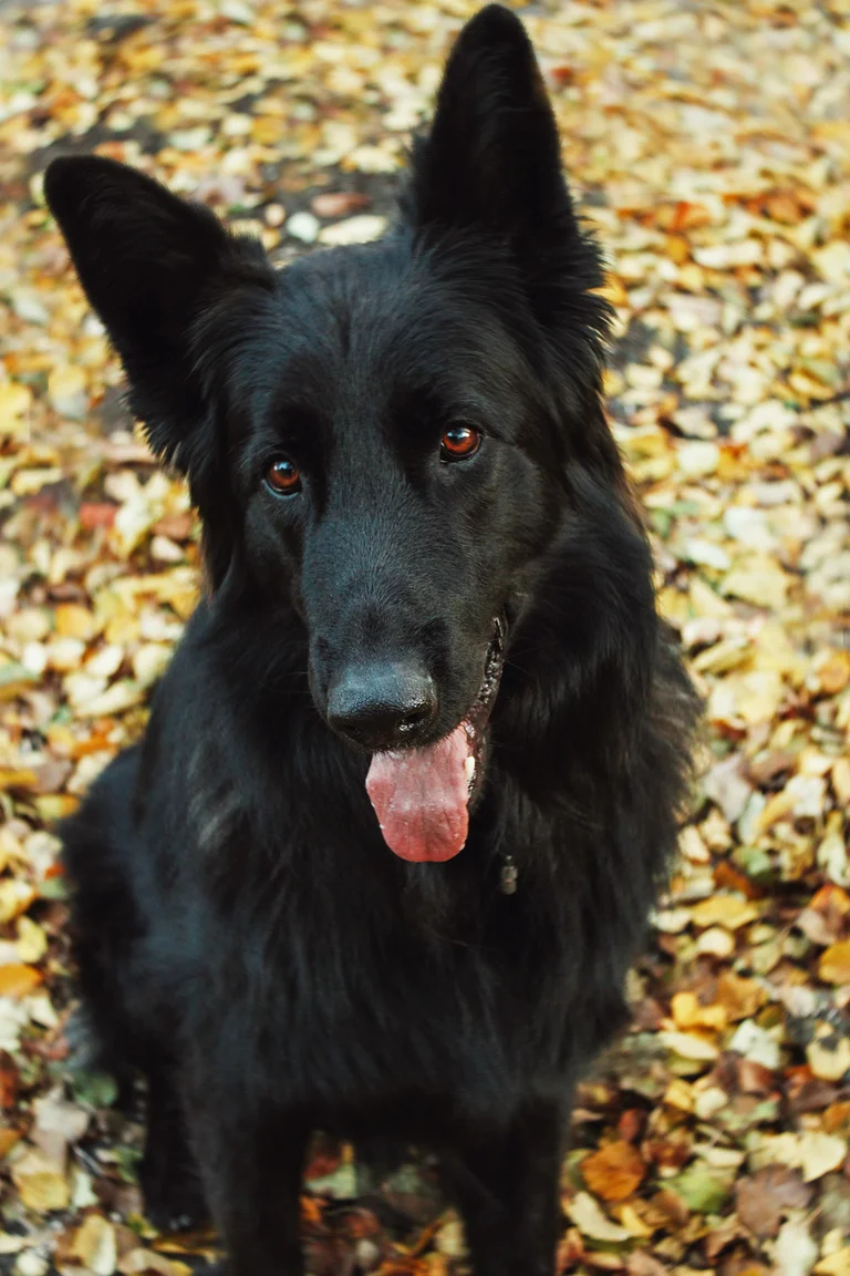 CJFF2QALWZHUPD5XJF4JWEYEWE