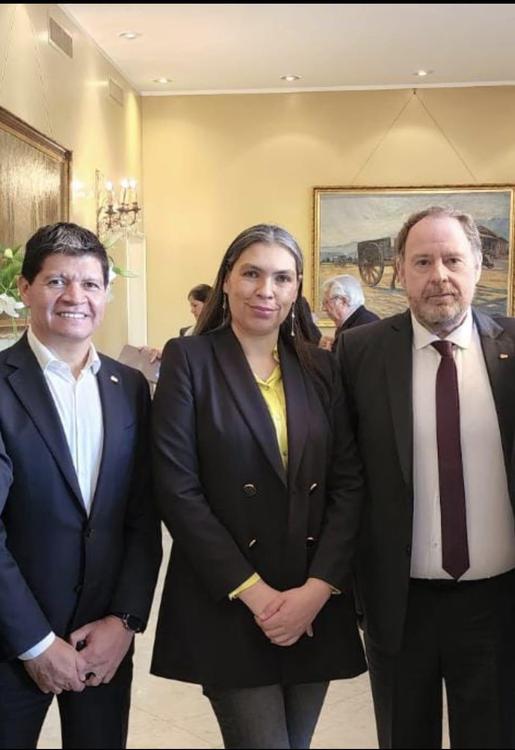 POLKE EN LA EMBAJADA DE CHILE (2)