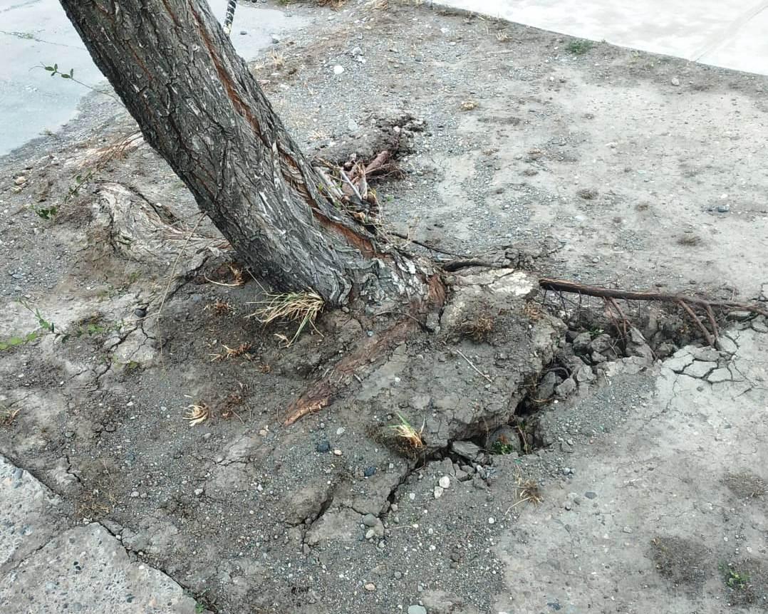 334118420_582710463743792_4223967215032870578_n