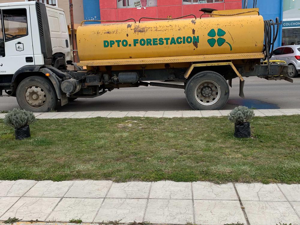 43EAD2F4-B495-4597-9D3E-6CF0EB9DECF5