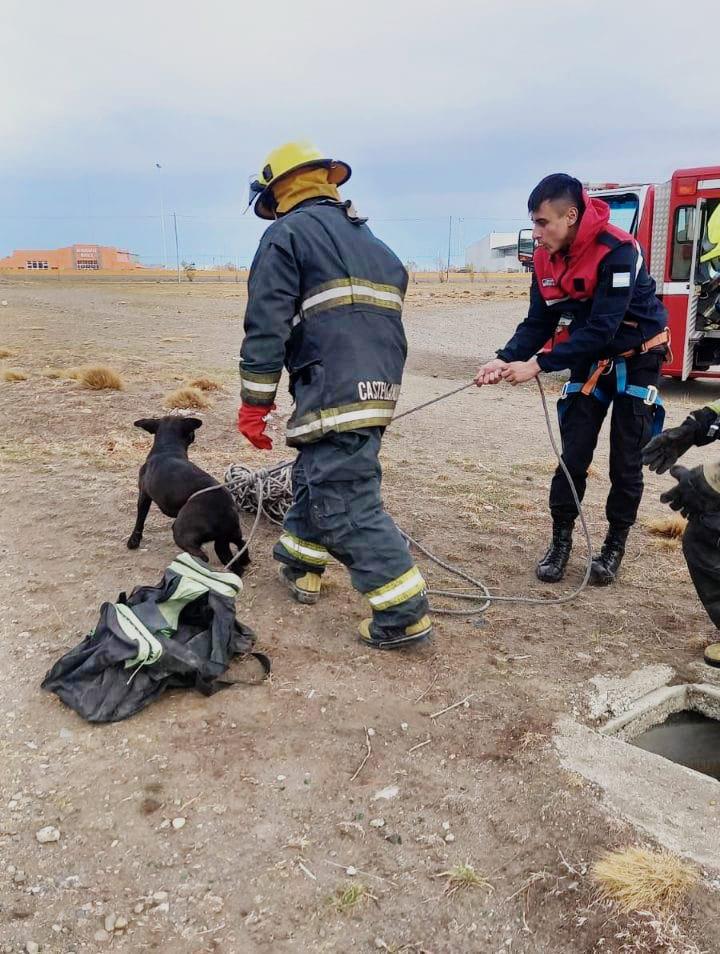 WhatsApp Image 2023-05-11 at 17.26.20