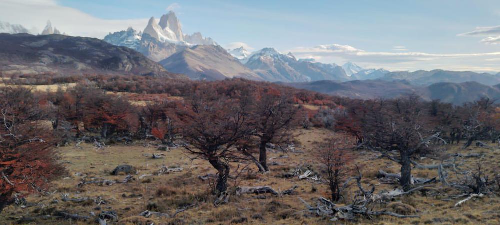 WhatsApp Image 2023-04-23 at 00.48.26 (1)