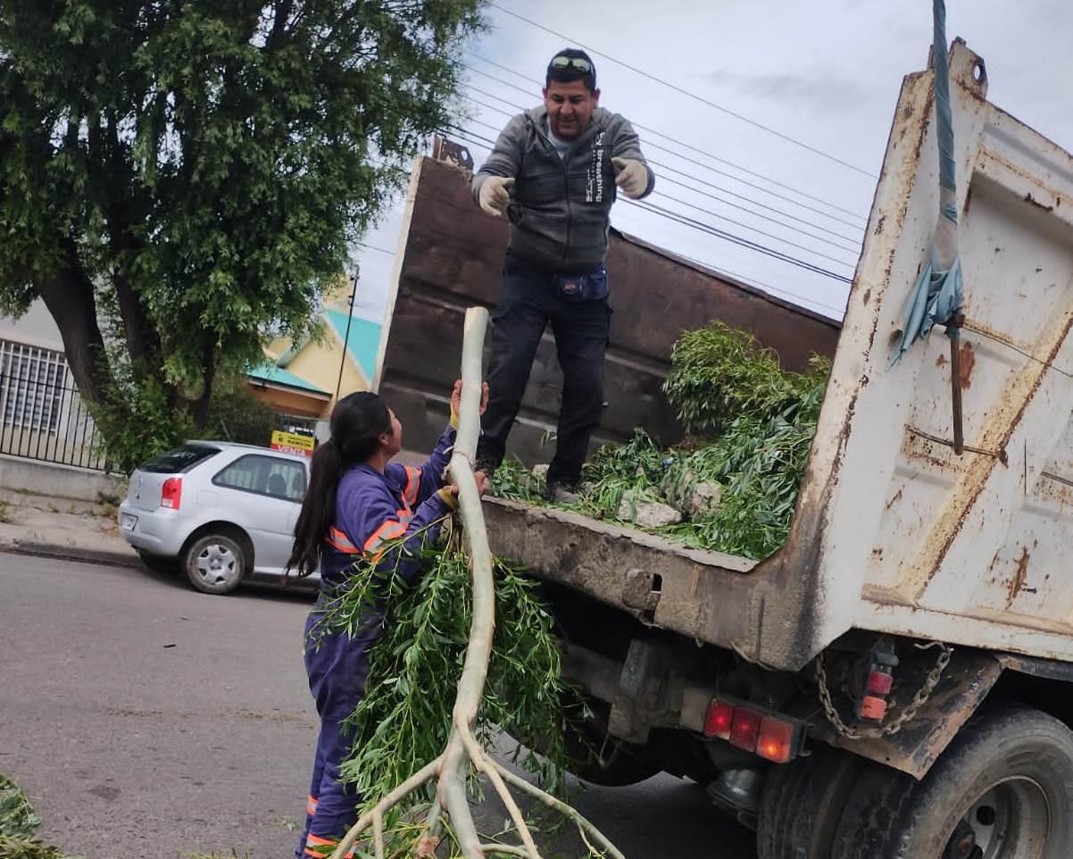 WhatsApp Image 2023-01-23 at 19.40.54