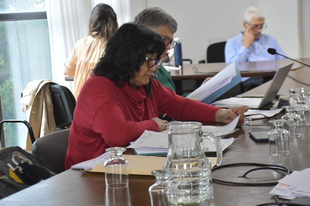 04-04 Reunion Desarrollo Social (1)