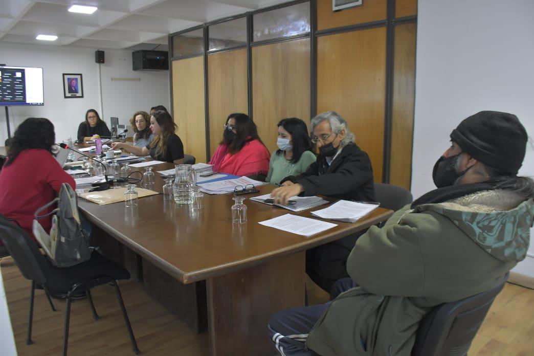 04-04 Reunion Desarrollo Social (2)