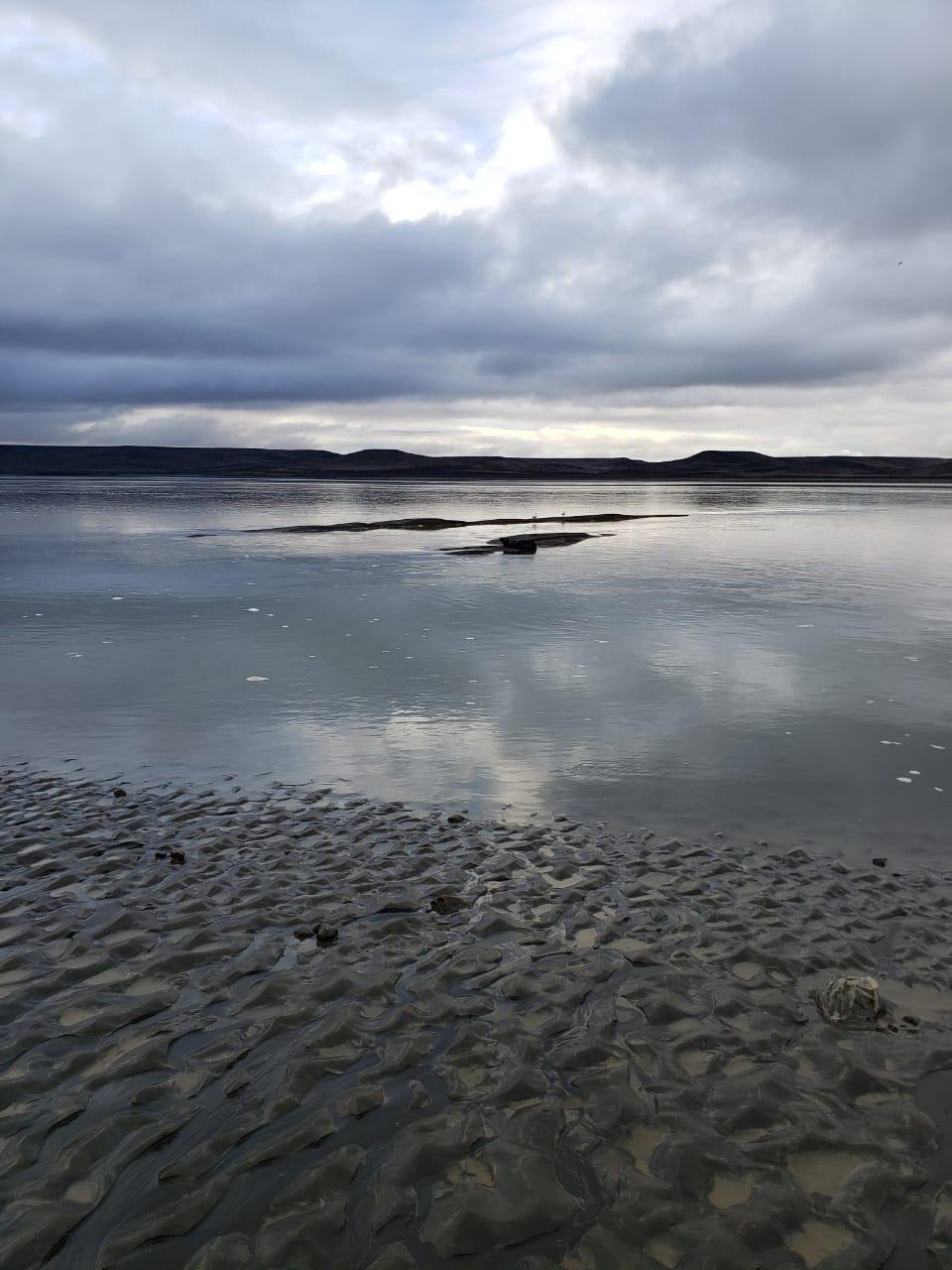 WhatsApp Image 2020-09-04 at 19.48.32