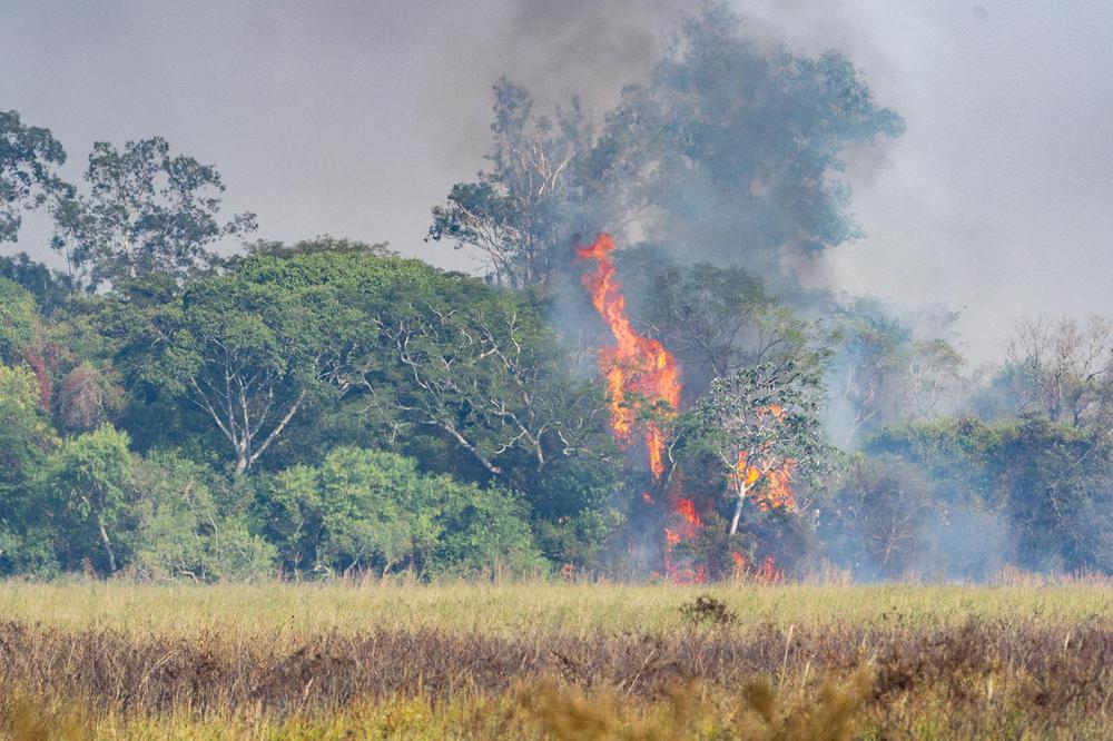 Incendios Iberá (Yerbalito) - Matias Rebak - Fundacion Rewilding Argentina-60