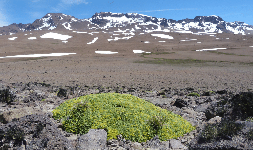 06 Landscape in Santa Cruz MF