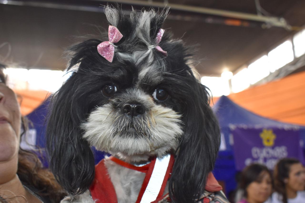 398723502_745977020895240_5779610743971189082_n