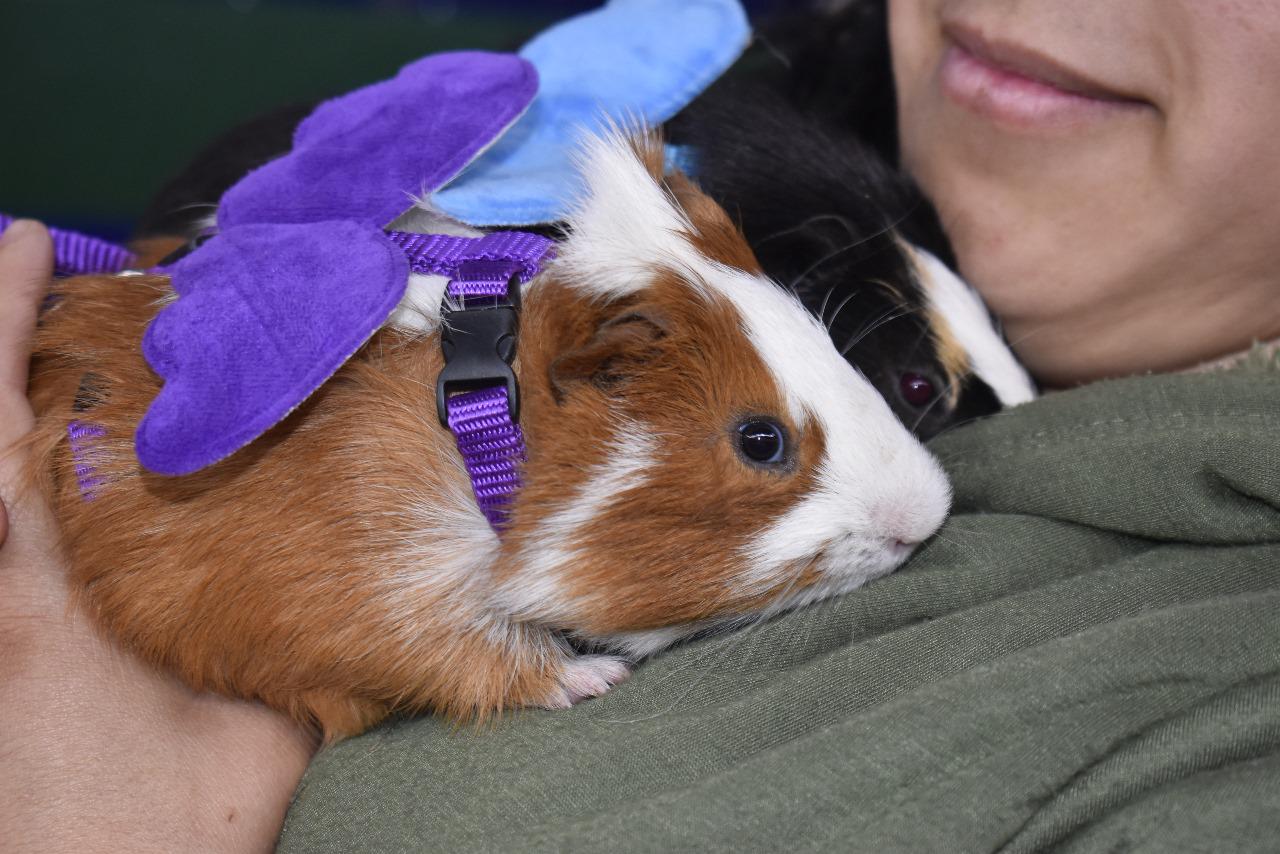 398549397_745976900895252_8269537959102819610_n