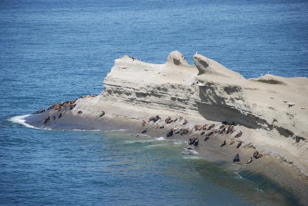 Monte Leon Foto Sec Tur (8)