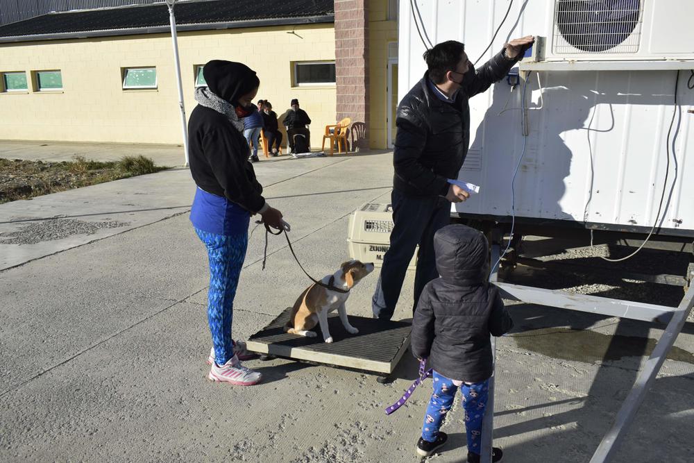 DES-ANIM_CASTRAMOVIL_12_04 (3)