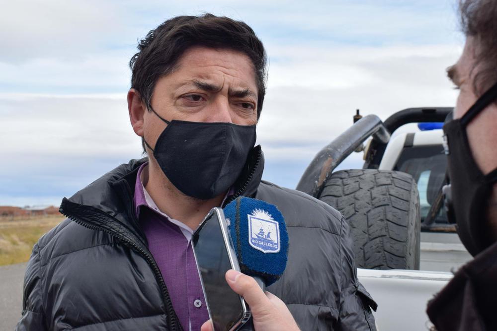 DES-ANIM_CABALLOS_01_02-12