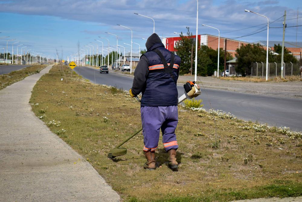 SOPU_FORESTACION-CORTEDE CESPED ASTURIAS_18-01-21_-2