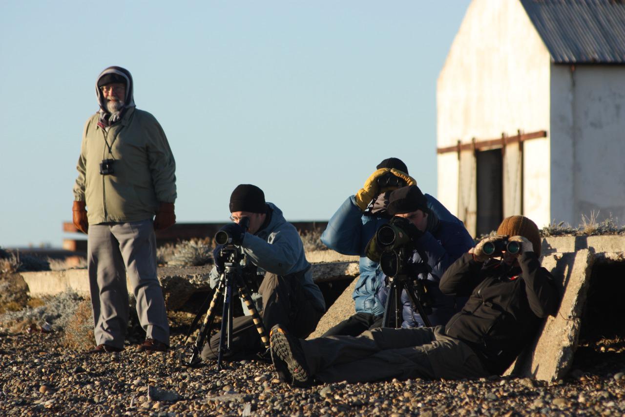 Primer taller sobre Macá Tobiano - MauricioRumboll, Rob Clay (representante de Birdlife international para sudamerica), Hernán Casañas, Santiago Imberiti y Pablo Hernández- FOTO MARIANO BERTINAT